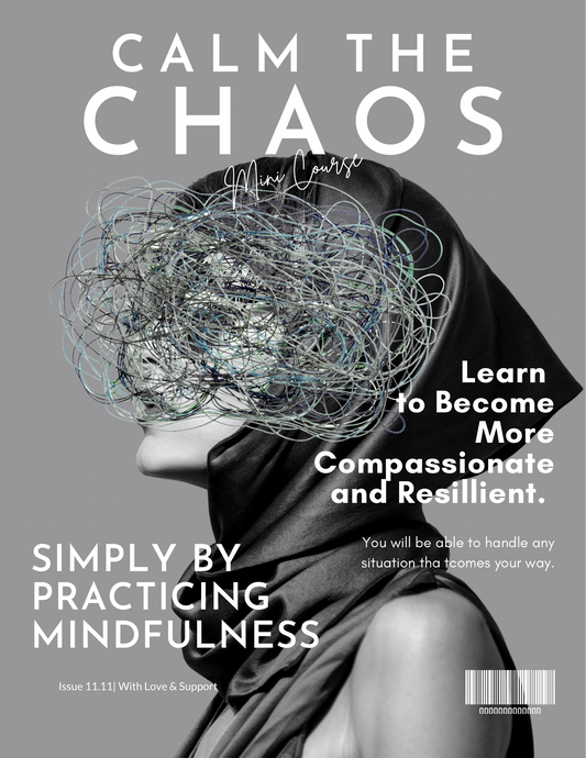 Calm the Chaos and Build Confidence Mini-course